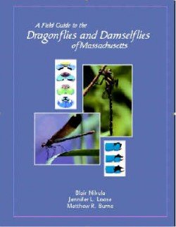 Field Guide to Massachusetts Dragonflies and Damselflies